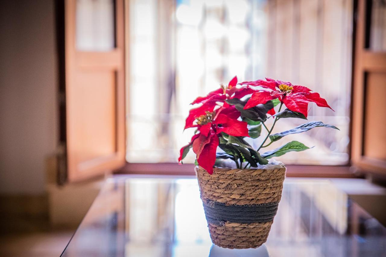 Cartagenaflats, Apartamentos Calle Mayor, City Center 외부 사진